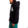 The North Face-Buzos-M TEKNO LOGO HOODIE AN