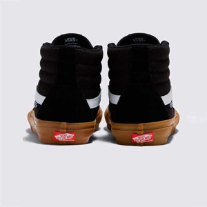 Vans-Zapatillas-M Skate SK8-Hi SN