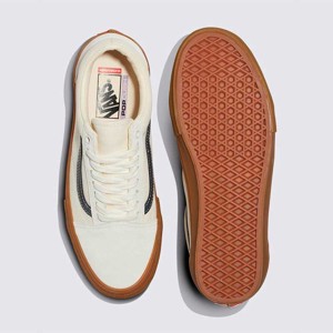 Vans-Zapatillas-M Skate Old Skool AN