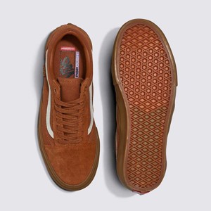 Vans-Zapatillas-M Skate Old Skool AN