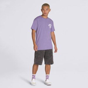 Vans-Remera-Spirit World SS FN