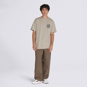 Vans-Remera-Mister Sinister SS FN