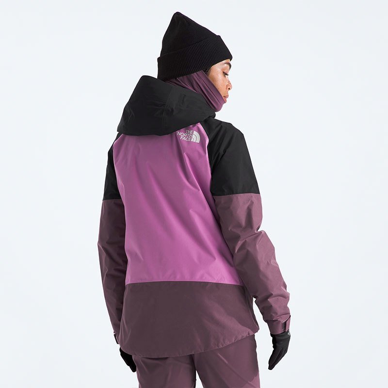 The North Face-Campera-W DAWNSTRIKE GTX INSULATED JACKET SN