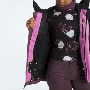 The North Face-Campera-W DAWNSTRIKE GTX INSULATED JACKET FN