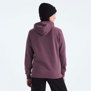 The North Face-Buzos-W HALF DOME PULLOVER HOODIE AN