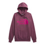 The North Face-Buzos-W HALF DOME PULLOVER HOODIE FN