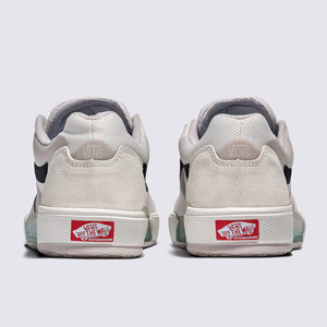 Vans-Zapatillas-M Skate AVE 2.0 FN