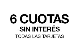 6 cuotas sin interés