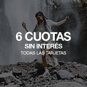 6 cuotas sin interés