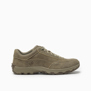 Caterpillar-Zapatillas-Eon PD