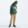 The North Face-Buzos-M HALF DOME PULLOVER HOODIE FN