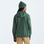 The North Face-Buzos-M HALF DOME PULLOVER HOODIE AN