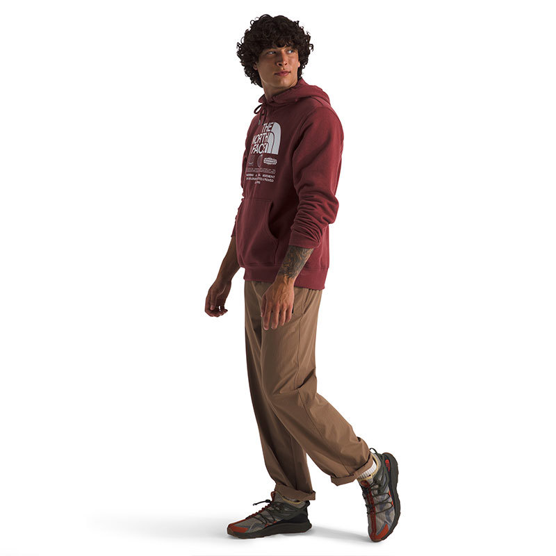 The North Face-Buzos-M IMMERSED OUTDOORS HALF DOME HOODIE -GRAPHIC FN