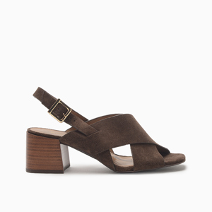 Hush Puppies-Taco-Ava PD