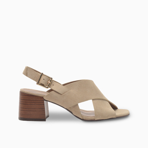 Hush Puppies-Taco-Ava PD