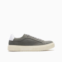 Gris
