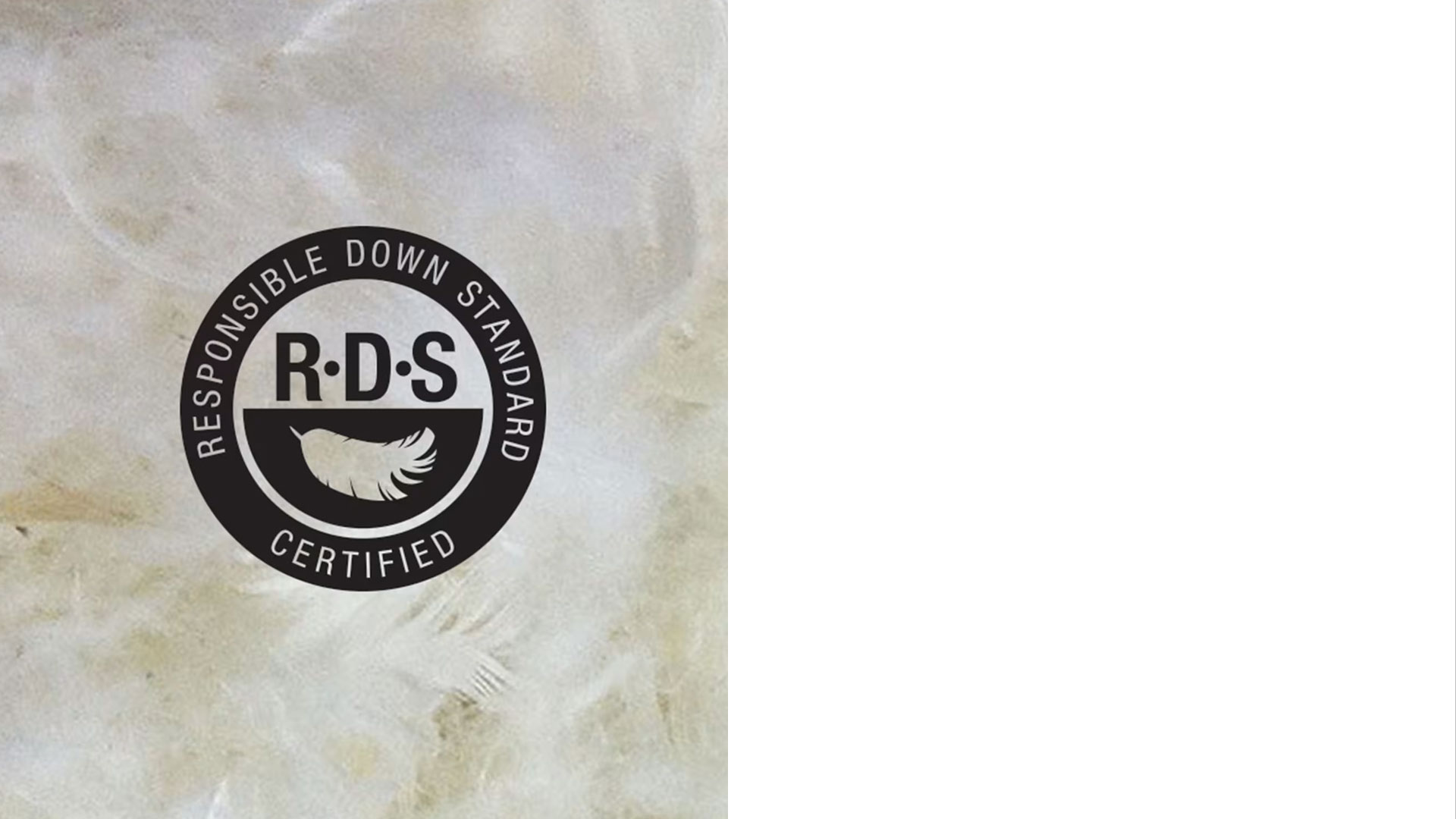 The North Face — 2014