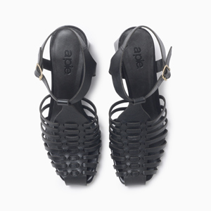 a pie-Taco-Javina AN