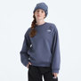 The North Face-Buzos-W Evolution Simple Dome Oversized Crew PD