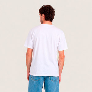 Vans-Remera-Flying V Outsized Tee SN