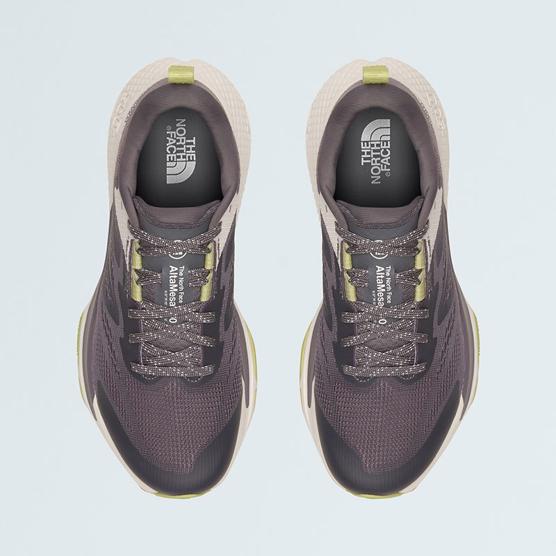 The North Face-Zapatillas-W ALTAMESA 500 AN
