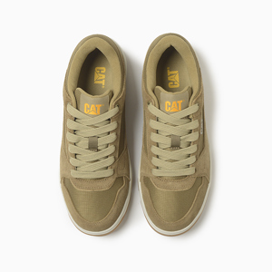 Caterpillar-Zapatillas-Theorem AN