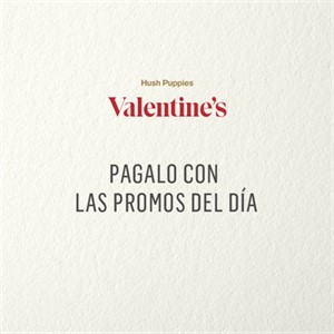 Hush Puppies-Accesorios-E Gift FN