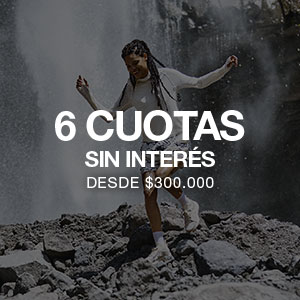 6 cuotas sin interés
