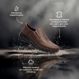 Hush Puppies-Zapatos-Sutton 2.0 AN