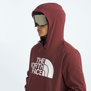 The North Face-Buzos-M TEKNO LOGO HOODIE SN