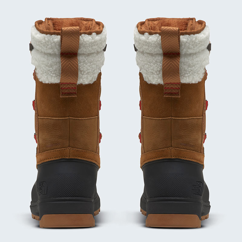 The North Face-Borcegos y Botas-W SHELLISTA V MID WP SN