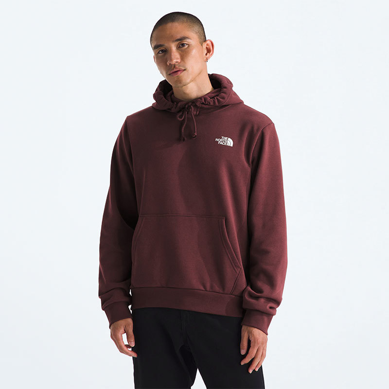 The North Face-Buzos-M EVOLUTION BOX CAMO FILL HOODIE- GRAPHIC SN