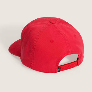 Vans-Gorra-Stretch Logo Snapback SN
