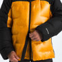 The North Face-Campera-M SUMMIT HIMALAYAN DOWN PARKA AN