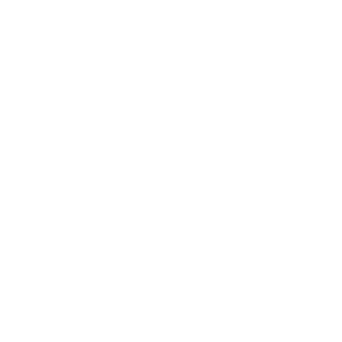 Patagonia 25%
