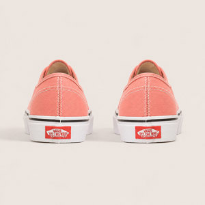 Vans-Zapatillas-U AUTHENTIC SN