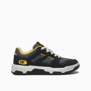Caterpillar-Zapatillas-Theorem Skate PD